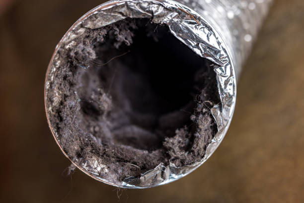 Best HVAC System Cleaning  in Onarga, IL