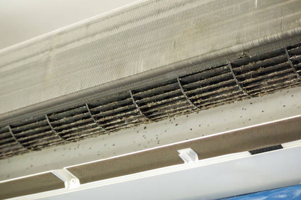 Best Affordable Duct Cleaning Services  in Onarga, IL